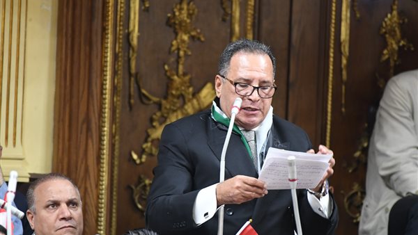 النائب محمد أبو هميلة