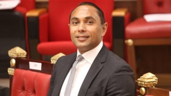 النائب محمد أبو غالي