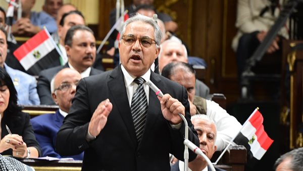  أحمد السجيني