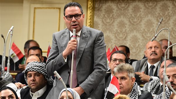 النائب هشام الحصري