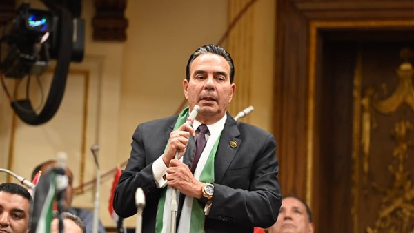 النائب أيمن ابو العلا