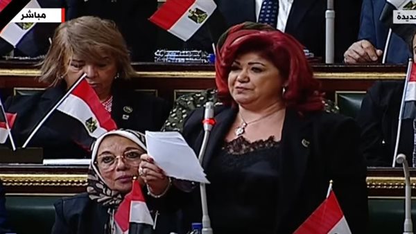 النائبة نورا علي