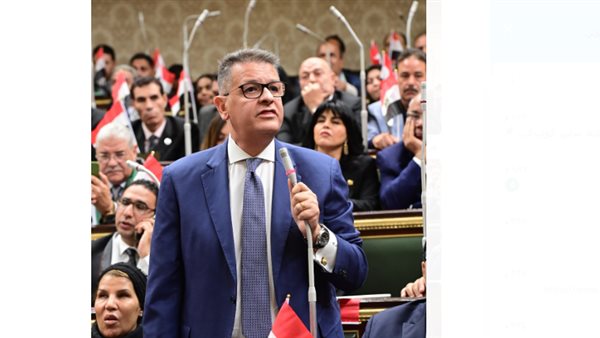 النائب طارق رضوان