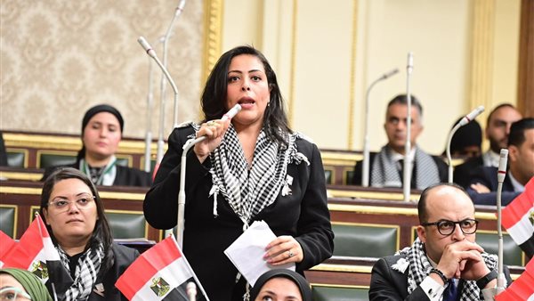  النائبة مرثا محروس