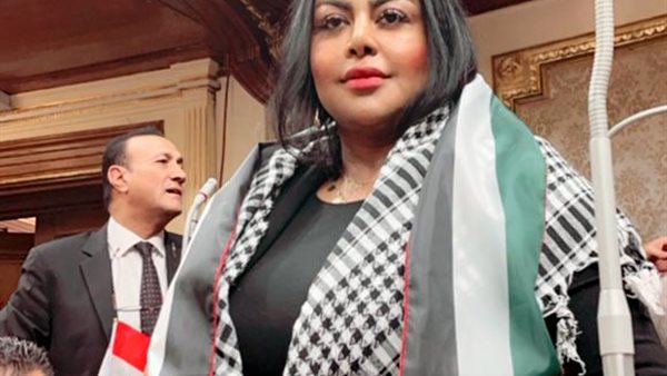 النائبة الدكتورة