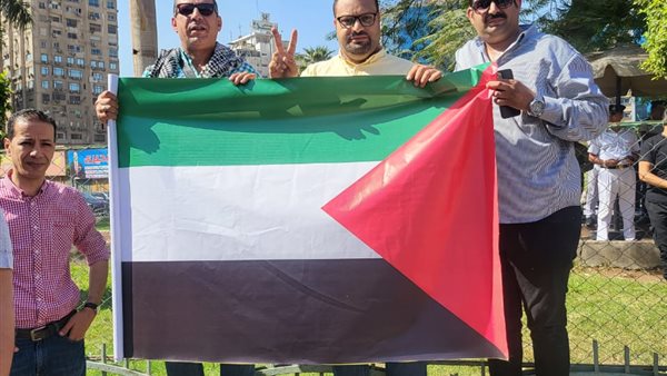 النائب أحمد قناوي