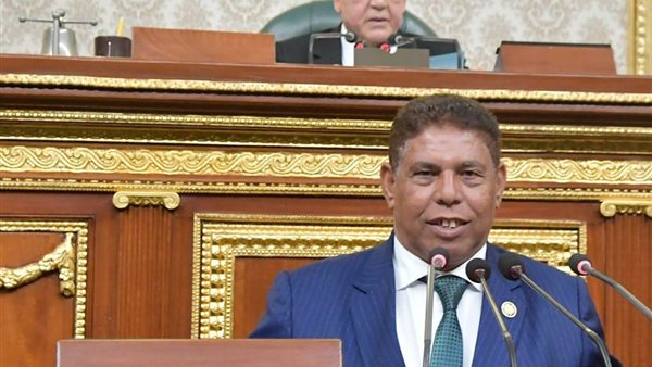 النائب محمد عوض السيد