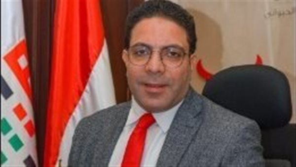 المهندس محمد الجمال