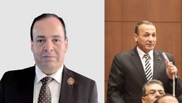 أيمن عبدالمحسن ومحمود