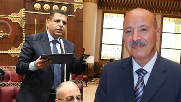 محمود سامي الإمام