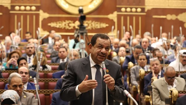 النائب عبد السلام