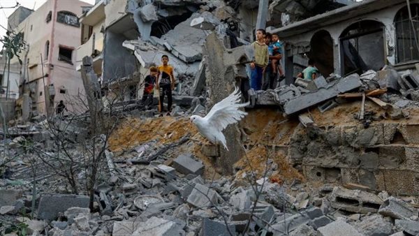 غزة - ارشيفية