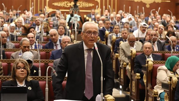 بهاء أبوشقة