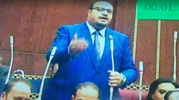 النائب أحمد قناوي