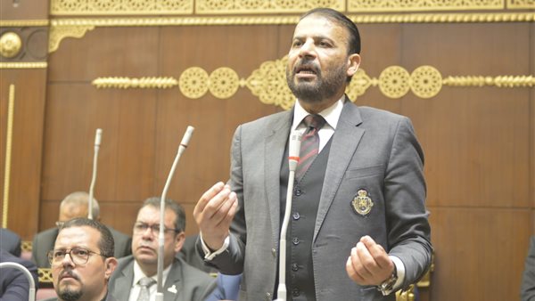  النائب محمد عريبي