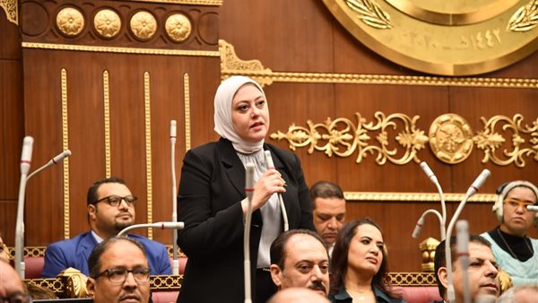 النائبة  نهى أحمد