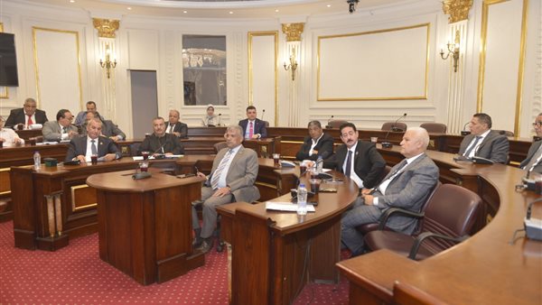  لجنة الصحة والسكان