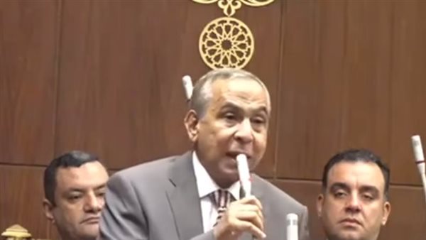 النائب طارق رسلان