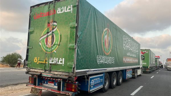 مصر قدمت 80% من مساعدات