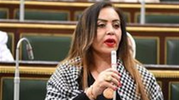  النائبة جيهان البيومي