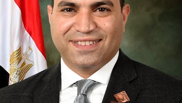 النائب عمرو درويش