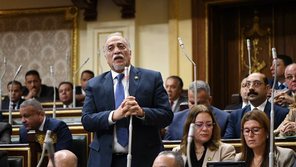  الدكتور عبد الهادي