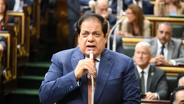 محمد أبو العنيين