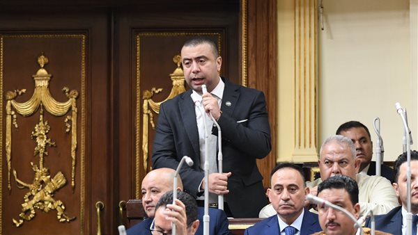  النائب أحمد بهاء