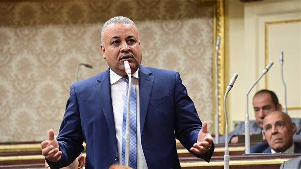 النائب عاطف ناصر