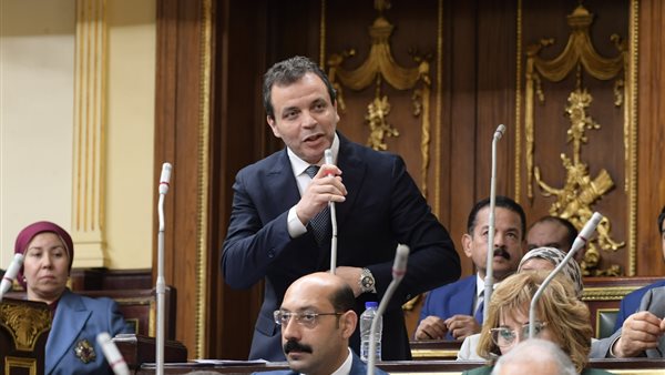 النائب هشام هلال