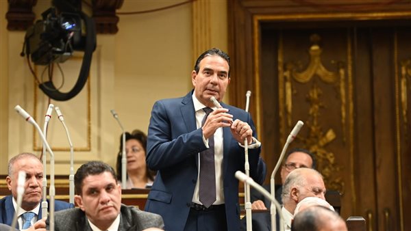 أيمن أبو العلا