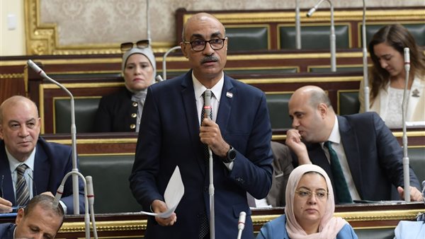 النائب إيهاب منصور