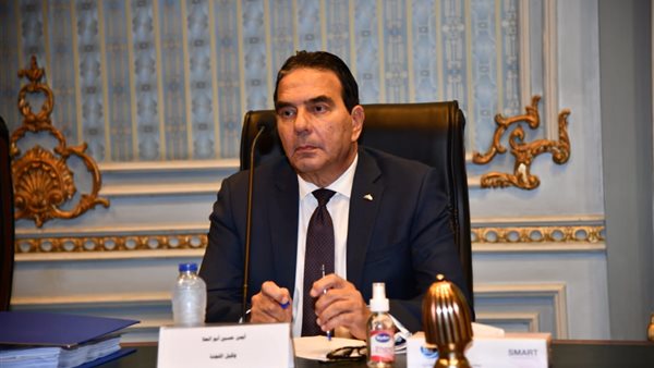 النائب أيمن أبو العلا