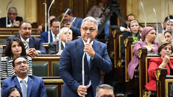 النائب أحمد السجيني