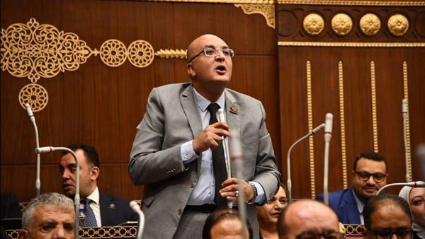 النائب عمرو عزت 