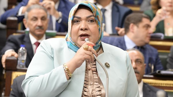 النائبة أمل زكريا