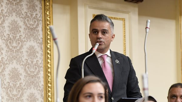 النائب أحمد فتحي