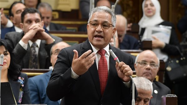 النائب أحمد السجيني