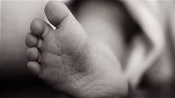 صغير القليوبية 