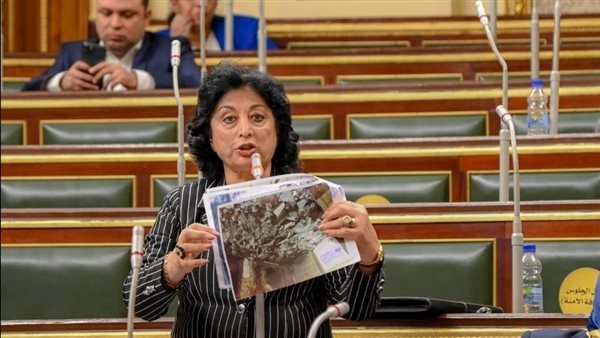  النائبة ميرفت عازر