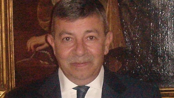 السفير عمرو حلمي