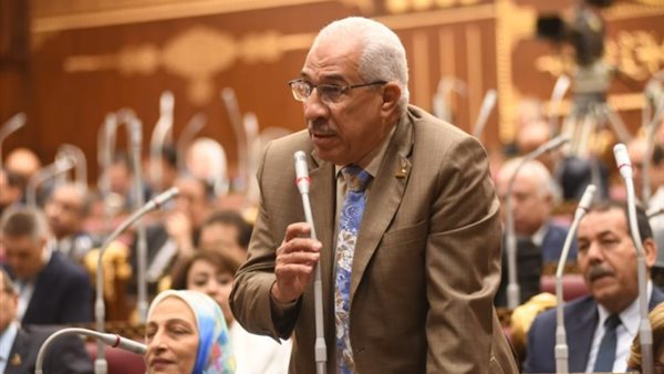  النائب مجدي عبد