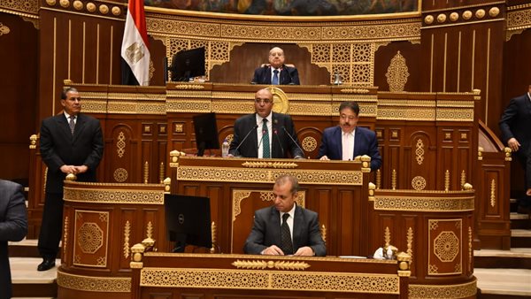 النائب عمرو عزت