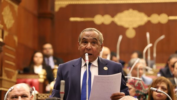 النائب طارق رسلان