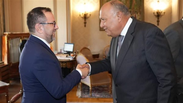 وزير الخارجية المصري