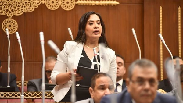 النائبة راجية الفقي