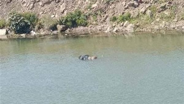  العثور على جثة بمياه