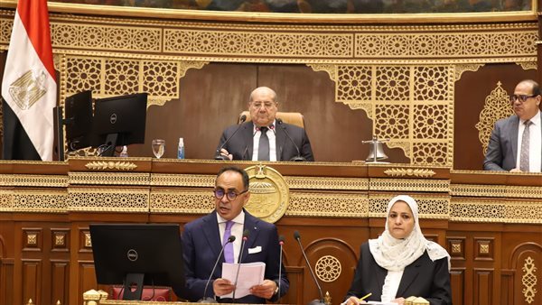 النائب هاني سري الدين