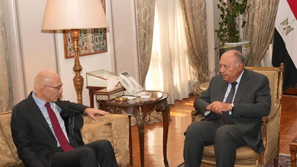 وزير الخارجية المصري