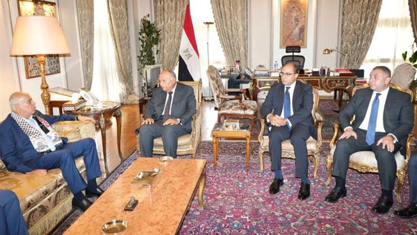 وزير الخارجية المصري